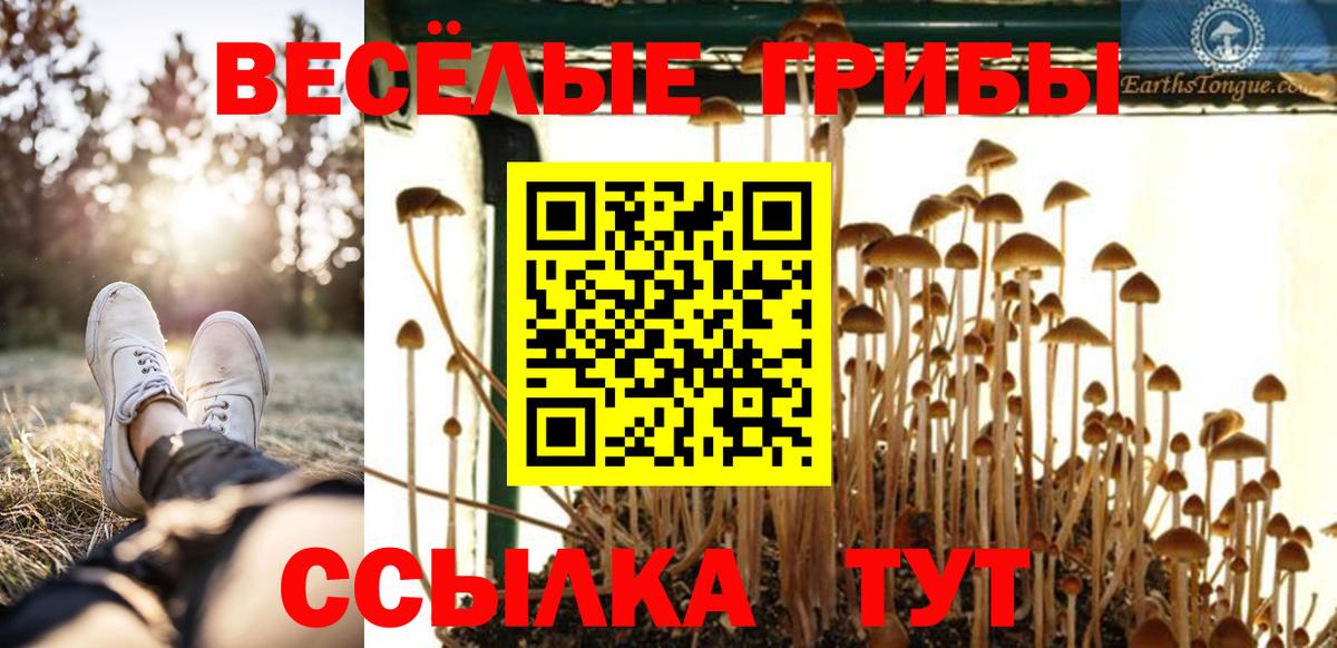 Галлюциногенные грибы мухоморы Кинель