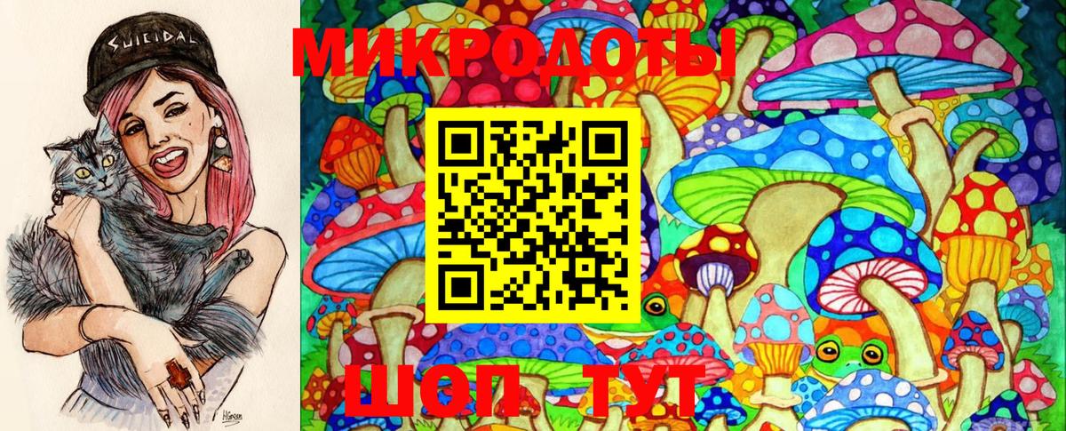 Галлюциногенные грибы Magic Shrooms  Псилоцибиновые грибы Magic Shrooms  Кинель  купить   Вход с VPN 