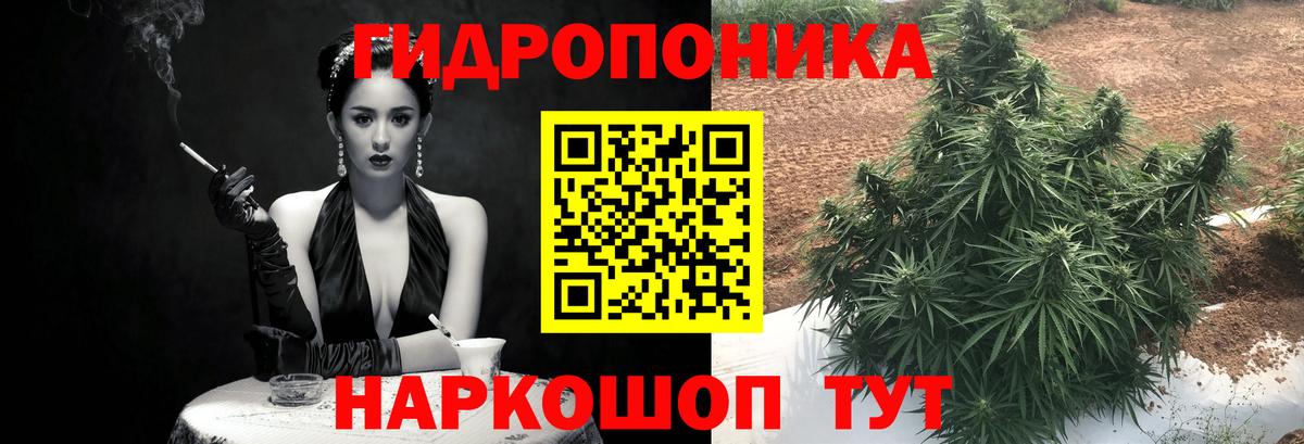 Канабис индика  Каннабис семена  Бошки марихуана White Widow  Вход с VPN  Кинель  Конопля ГИДРОПОН 